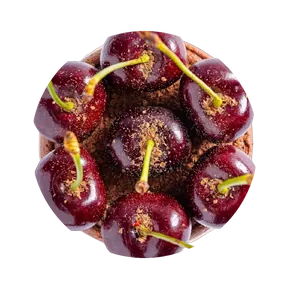 Cherry Chocolate OnyCheese from above